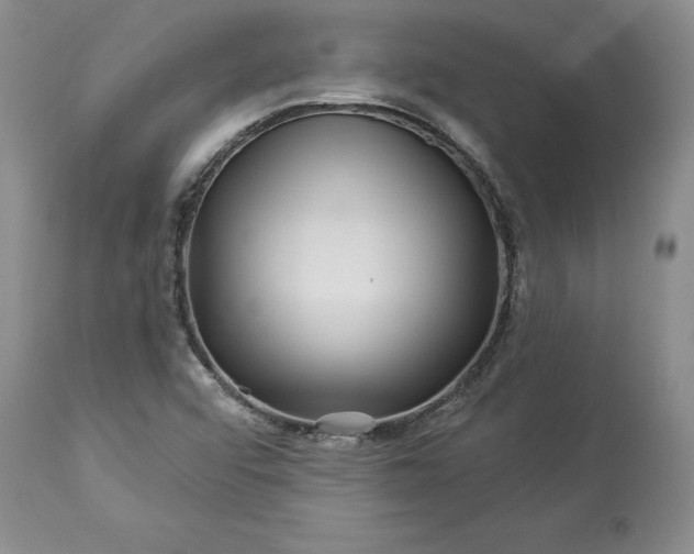 X0000114211456200910231355