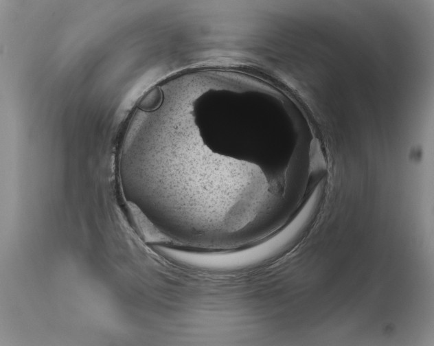 X0000114211459200910231355