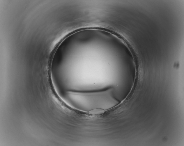 X0000114211460200910231355