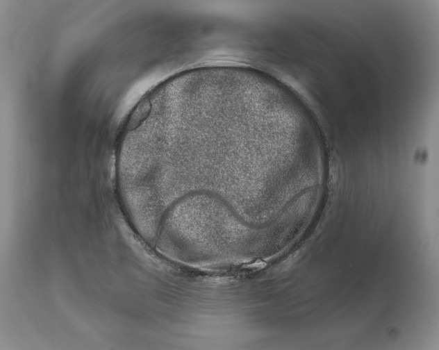 X0000114211461200910231355