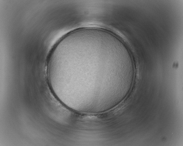 X0000114211462200910231355