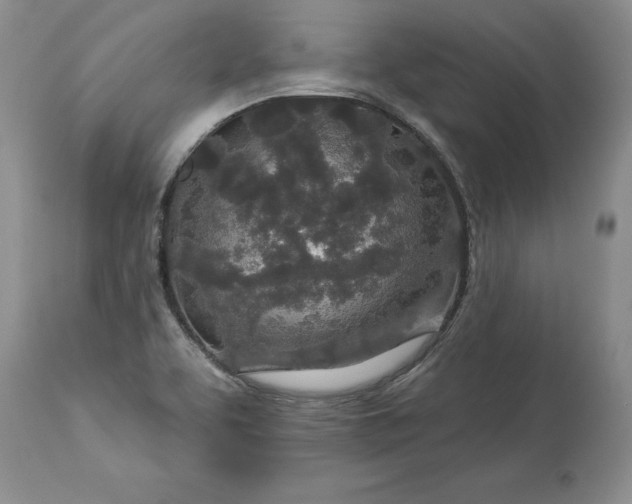 X0000114211463200910231355