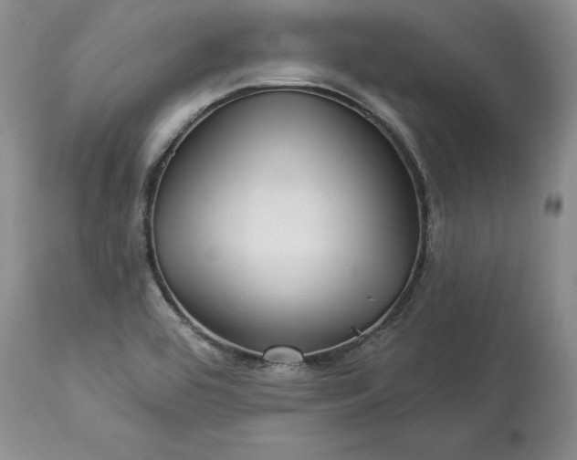 X0000114211464200910231355