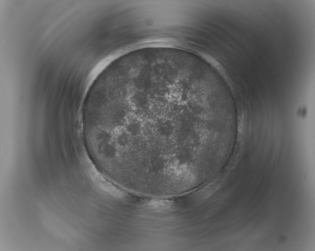 X0000114211466200910231355