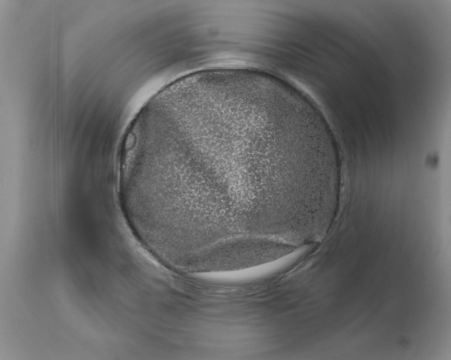 X0000114211467200910231355