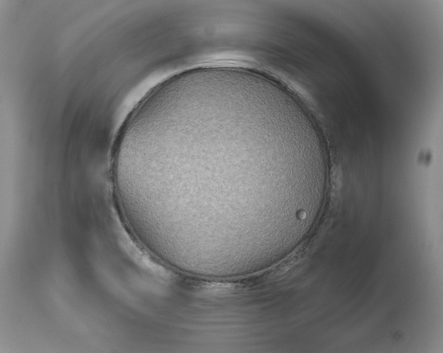 X0000114211470200910231355