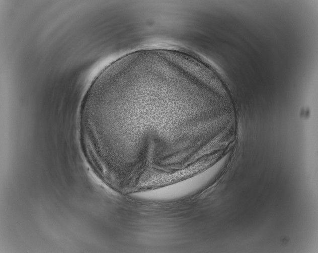 X0000114211471200910231355