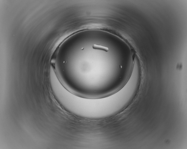 X0000114211473200910231355