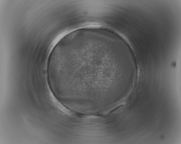 X0000114211475200910231355