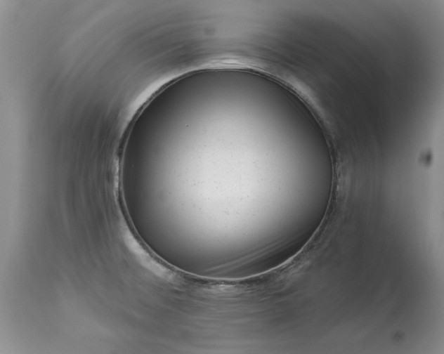 X0000114211476200910231355
