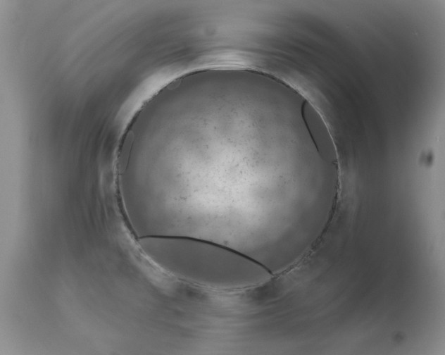 X0000114211477200910231355