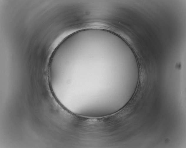 X0000114211478200910231355