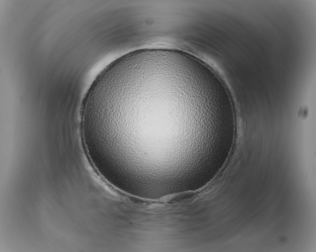 X0000114211480200910231355