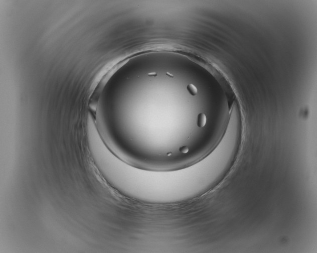 X0000114211481200910231355