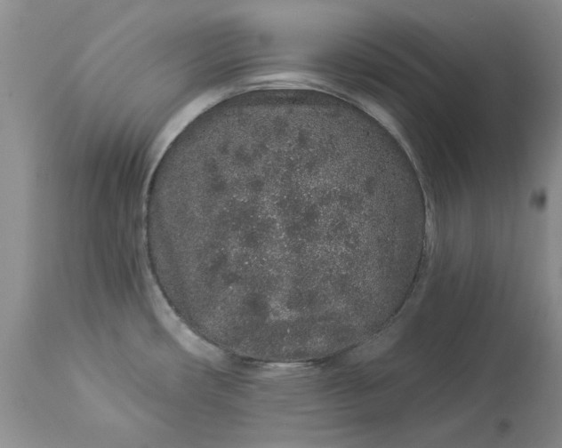 X0000114211482200910231355