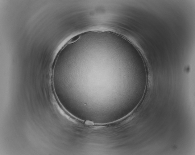X0000114211484200910231355