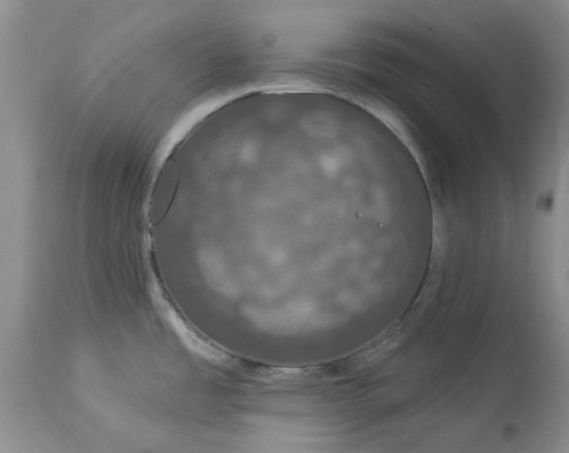 X0000114211485200910231355