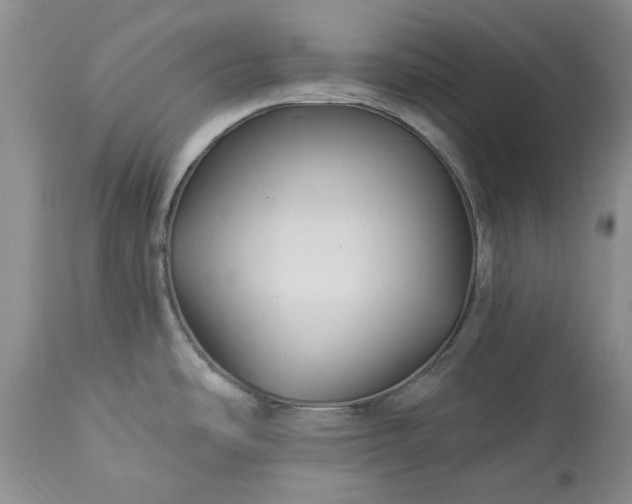 X0000114211486200910231355