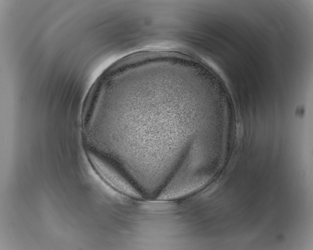 X0000114211487200910231355