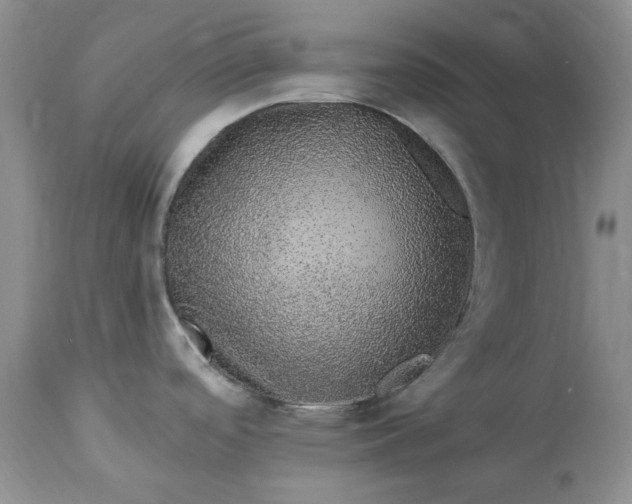 X0000114211488200910231355