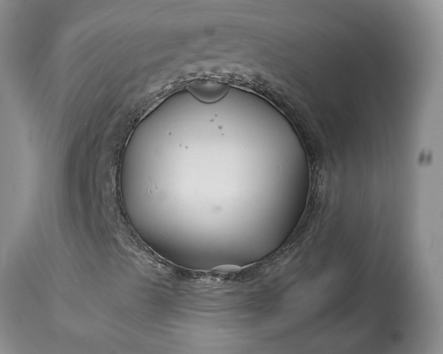 X0000114211489200910231354