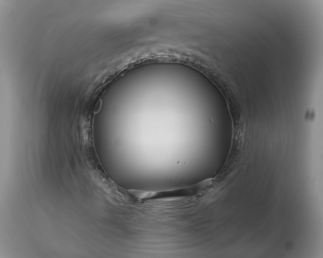 X0000114211490200910231354