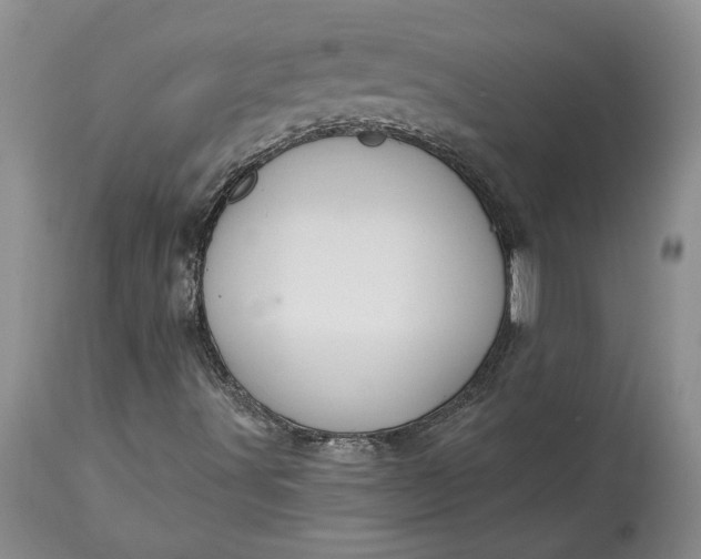 X0000114211491200910231354