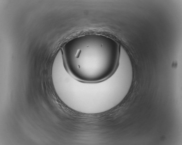 X0000114211492200910231354