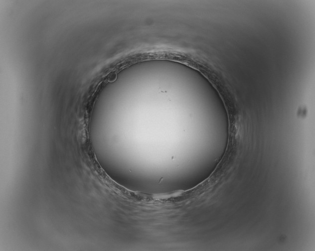 X0000114211493200910231354