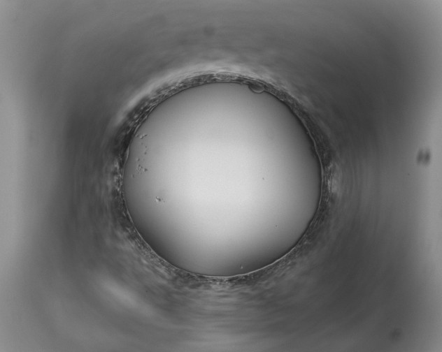 X0000114211495200910231354