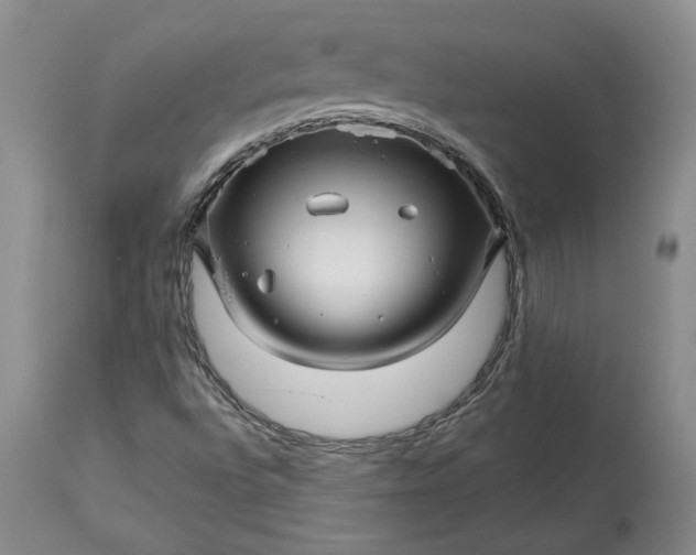 X0000114211496200910231354