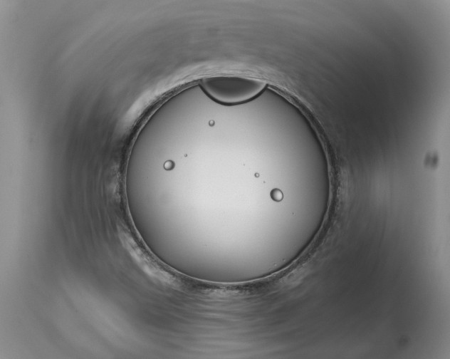 X0000114211499200910231354