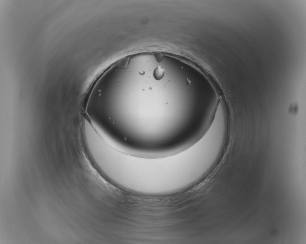 X0000114211500200910231354