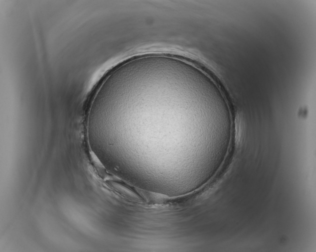 X0000114211501200910231354