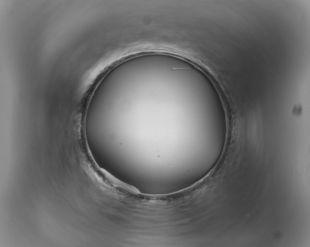 X0000114211503200910231354