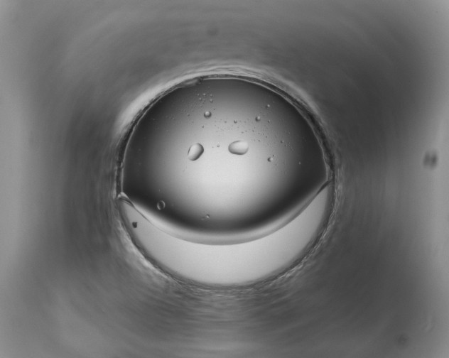 X0000114211504200910231354