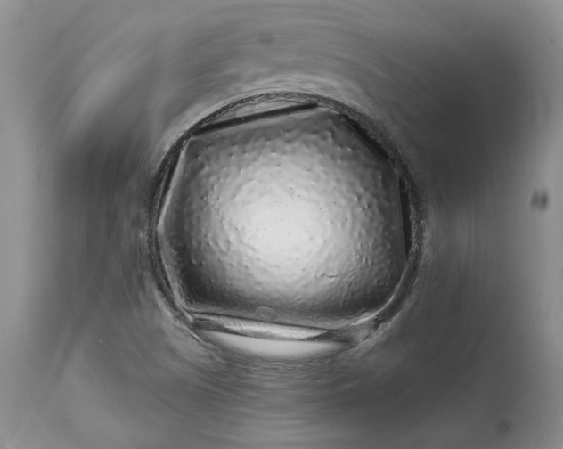 X0000114211505200910231354