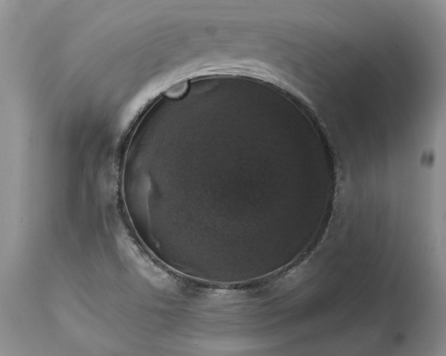 X0000114211506200910231354