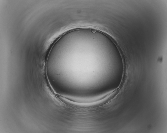 X0000114211507200910231354
