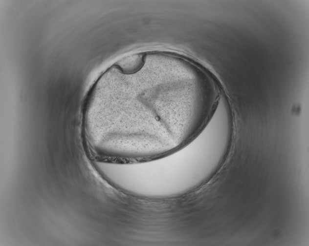 X0000114211508200910231354