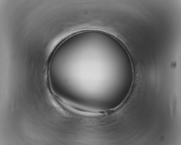 X0000114211511200910231354