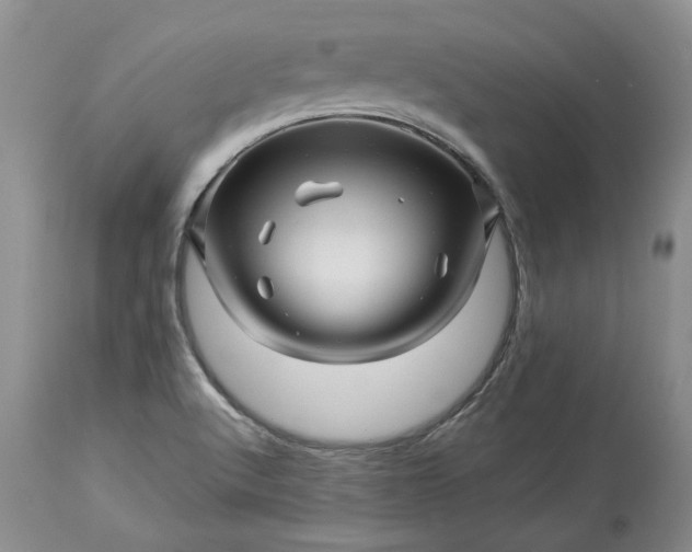 X0000114211512200910231354