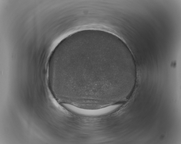 X0000114211515200910231354