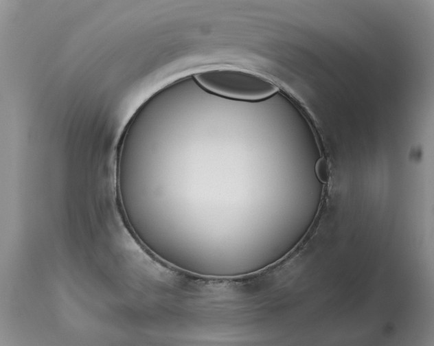 X0000114211516200910231354