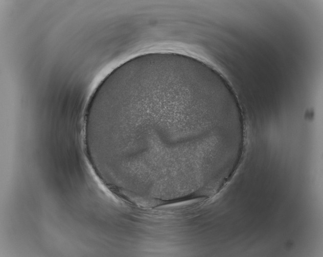 X0000114211517200910231354