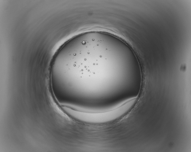 X0000114211518200910231354