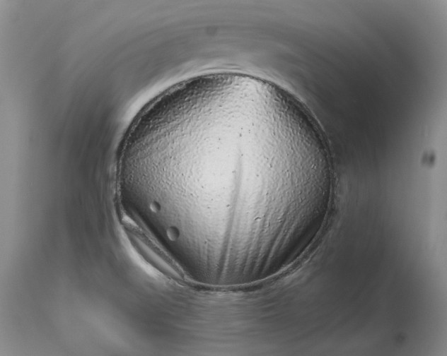 X0000114211519200910231354