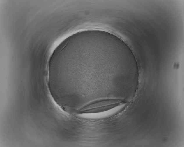 X0000114211520200910231354