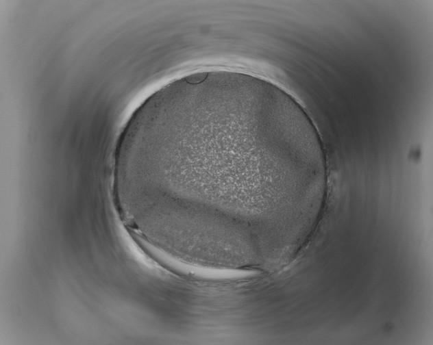 X0000114211523200910231354