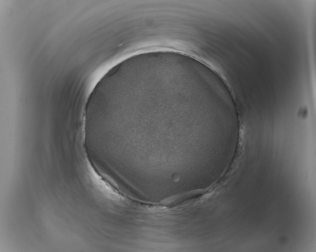 X0000114211524200910231354